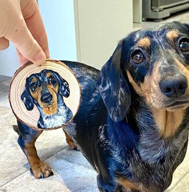 Small Hanging Log Slices
